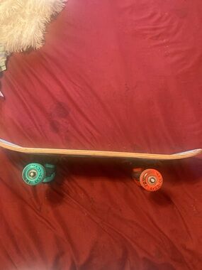 Kids Skateboard with Teal and Orange Wheels - Youth Cruiser